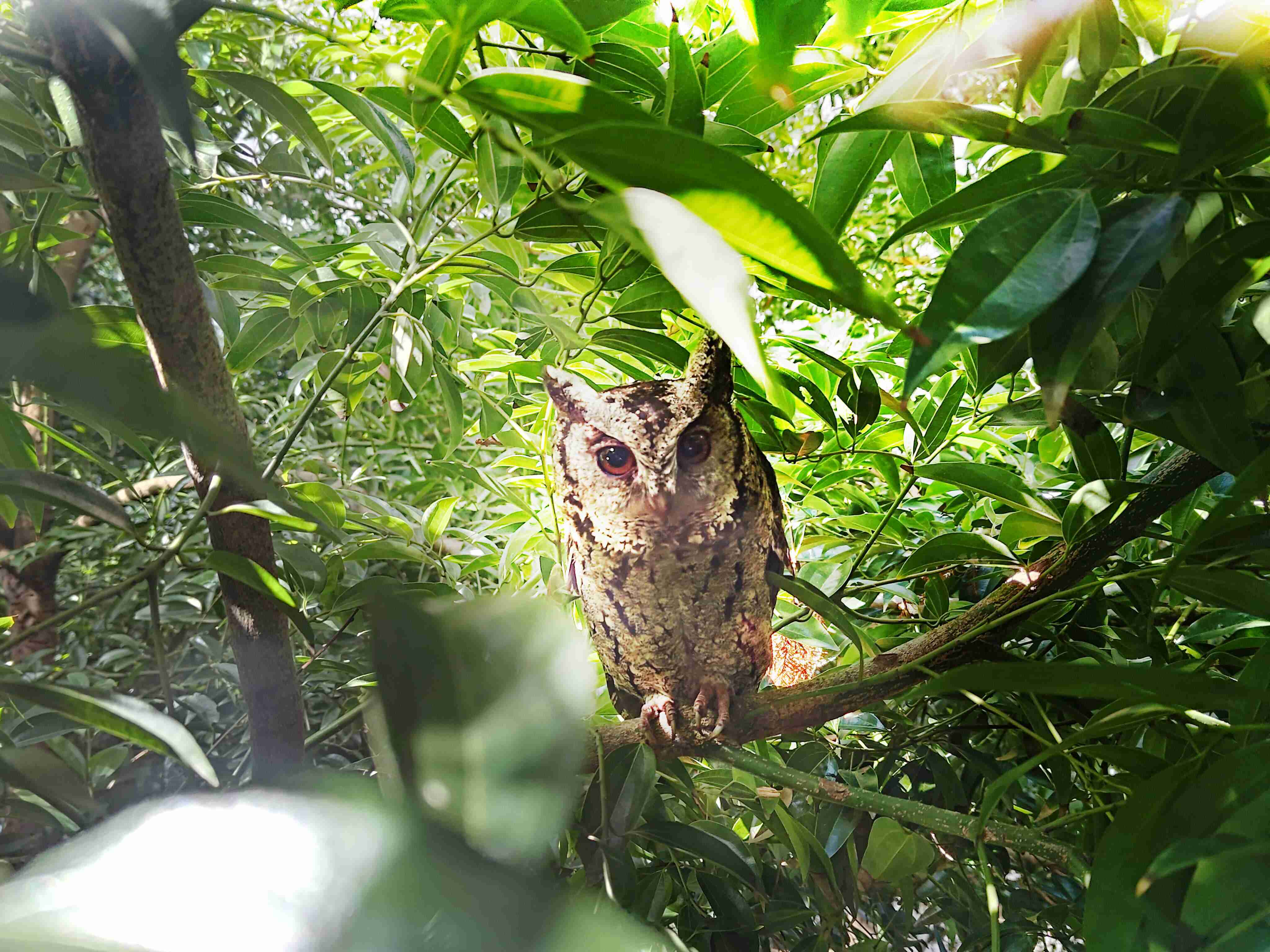 赏金国际致力提倡净零绿生活，，，，16年以来在全球各厂区植树逾百万棵，，，造就各厂区树木蔚然成林，，，，犹如森林工厂，，，成为许多生物的栖息地
